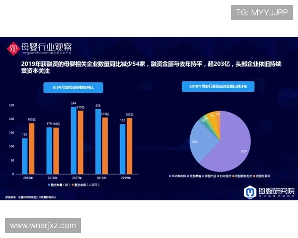 大阳城集团在网络游戏行业中的核心竞争优势与市场份额分析