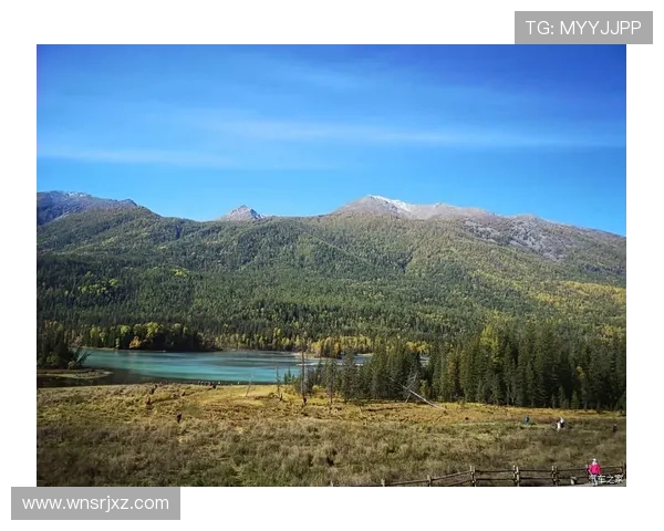 如何通过科学分析赌场角子机的赢钱规律实现持续盈利的实用指南 如何通过科学分析赌场角子机的赢钱规律实现持续盈利的实用指南