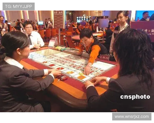 澳门博彩娱乐有限公司在推动澳门经济发展中的作用与未来发展战略分析