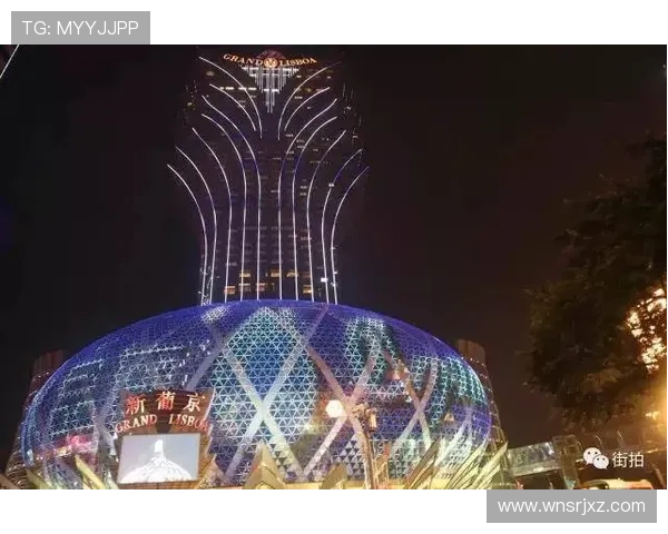 澳门新葡京网站评价参考，真实用户反馈与专业评测结合的全面总结
