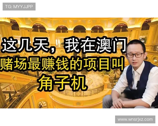 澳门玩角子机有哪些常见玩法和注意事项，提升你的游戏体验与胜率